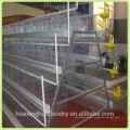 poultry chicken equipment for layers cage